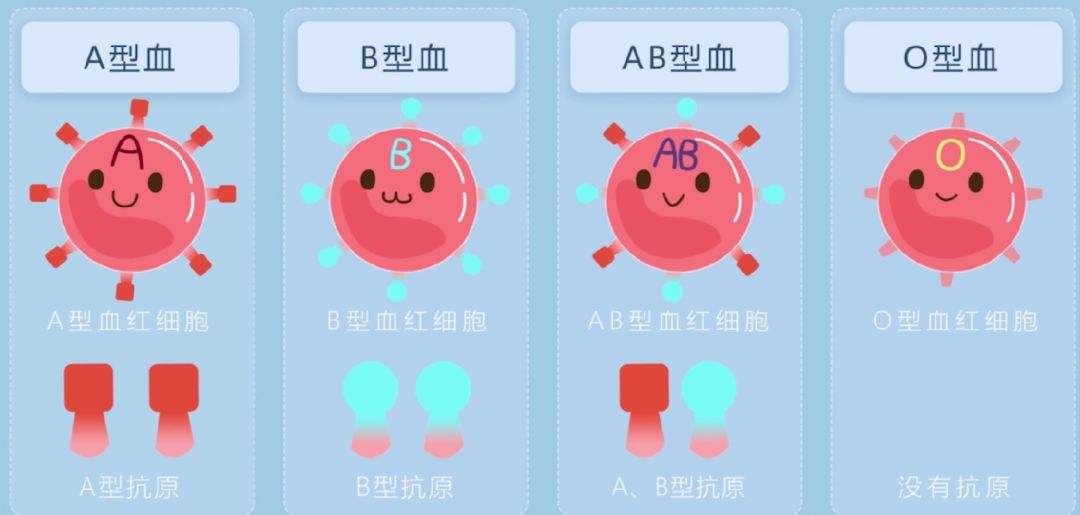 a型b型o型_o型血和a型血生的孩子会黄疸吗_o型和b型生的孩子是a型