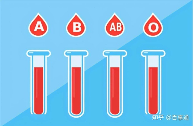 o型血型生出什么血型_什么血型能生出o型血的孩子_o型血能接受什么血型