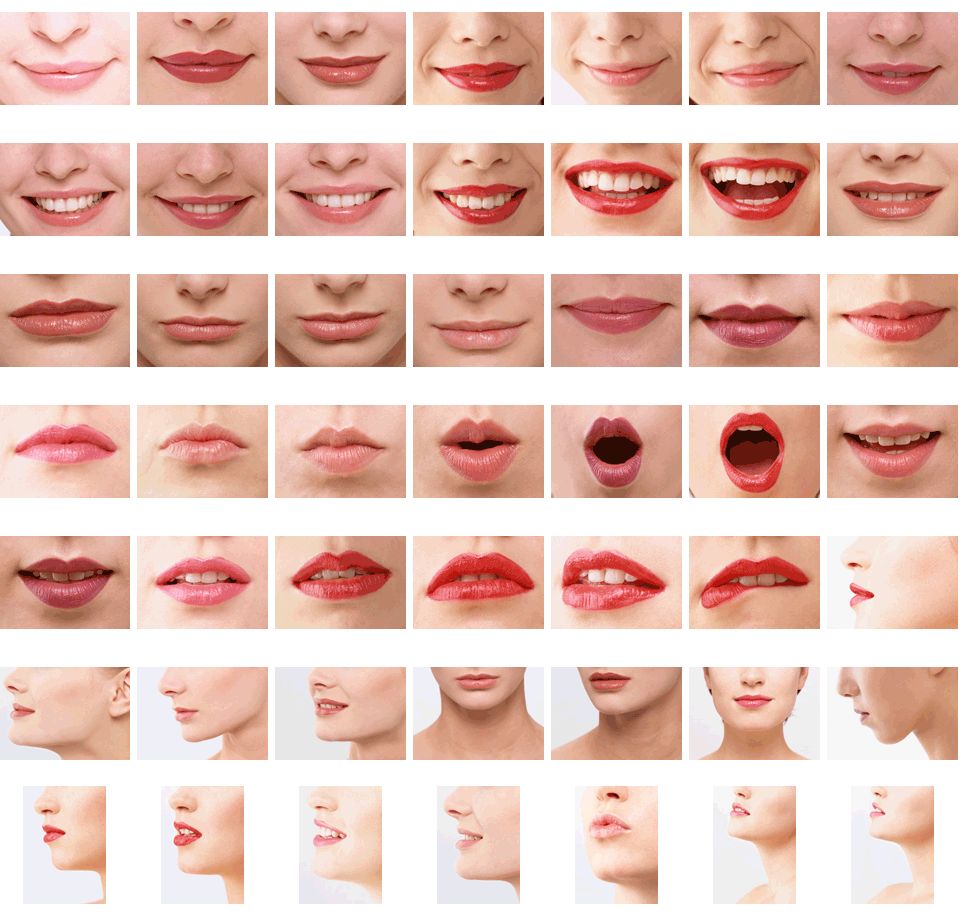 嘴巴类型分为图片