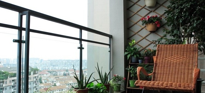室外风水植物摆放位置_室外风水植物和花卉_室外风水植物