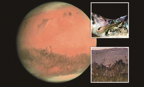 火星上液态水是怎么来的_火星上有液态水_火星上的液态水能喝吗