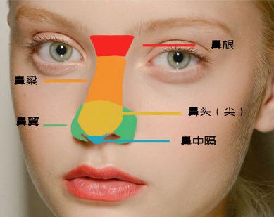 鼻骨宽大与鼻梁低矮之间有什么区别与联系?
